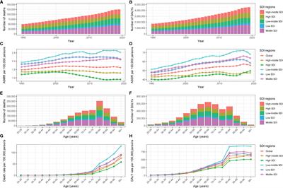 Global trends in burden of type 2 diabetes attributable to physical inactivity across 204 countries and territories, 1990-2019